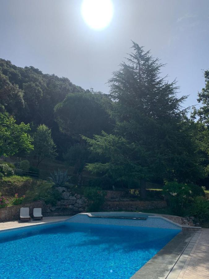 بيتراسانتا La Terrazza Sulla Versilia المظهر الخارجي الصورة
