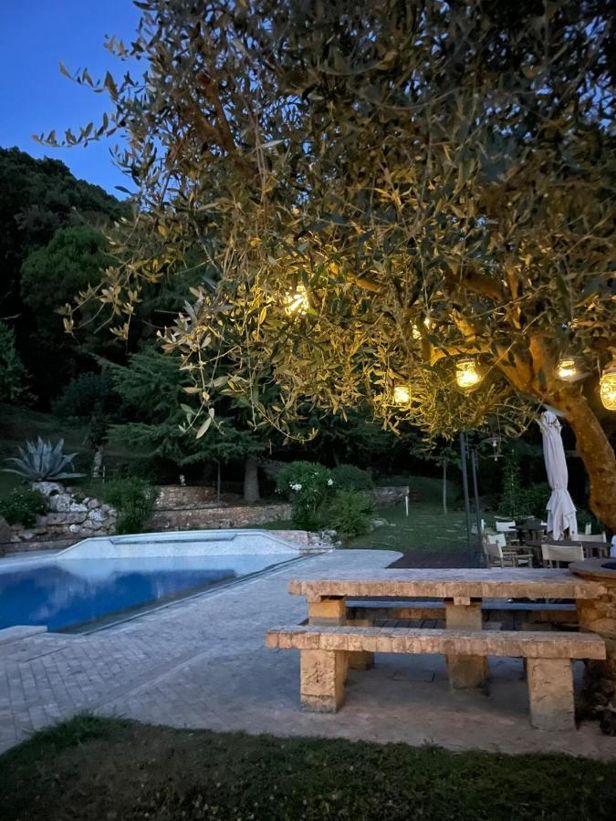 بيتراسانتا La Terrazza Sulla Versilia المظهر الخارجي الصورة