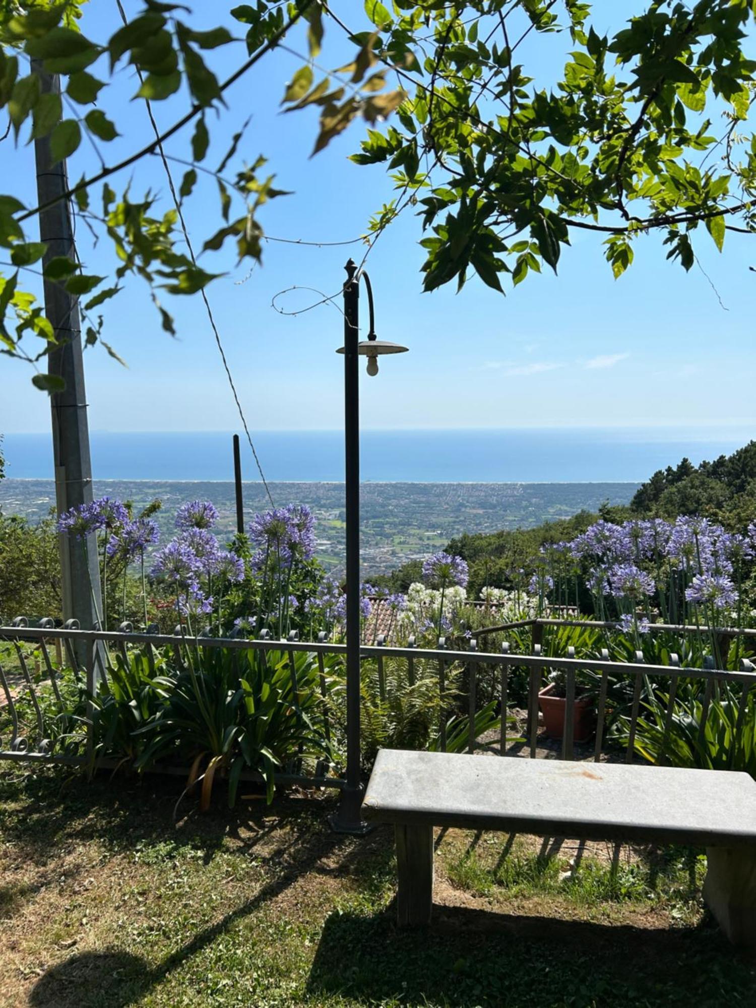 بيتراسانتا La Terrazza Sulla Versilia المظهر الخارجي الصورة