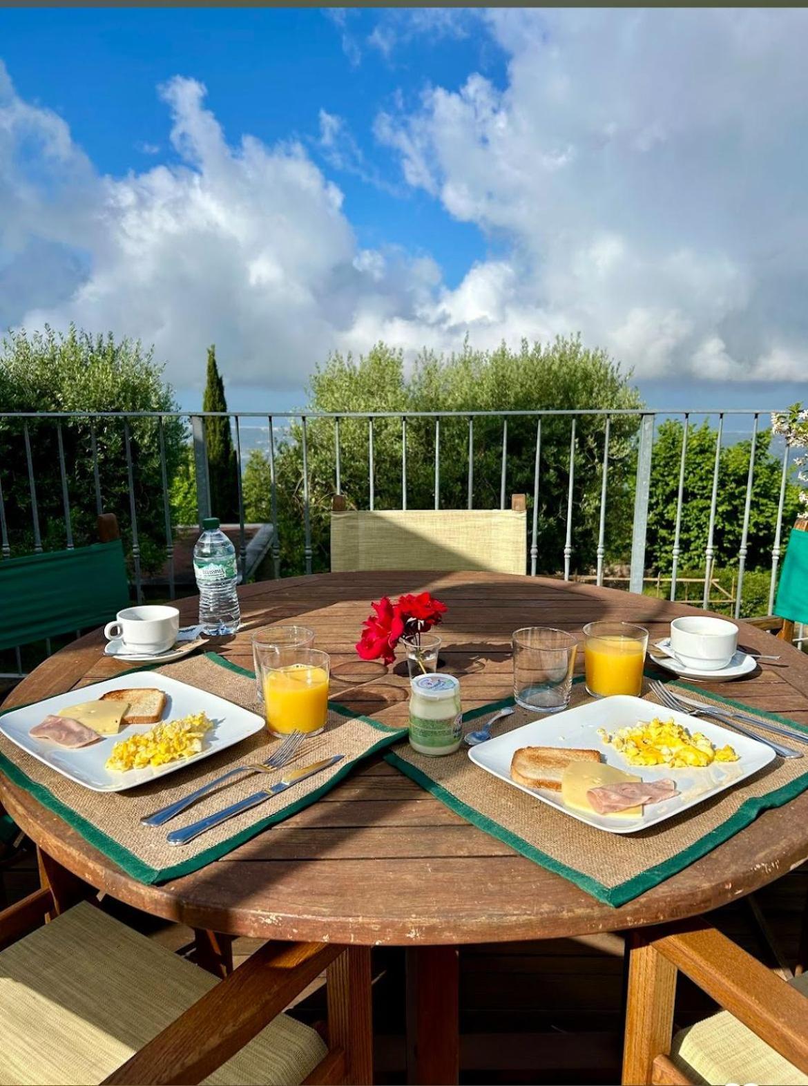 بيتراسانتا La Terrazza Sulla Versilia المظهر الخارجي الصورة